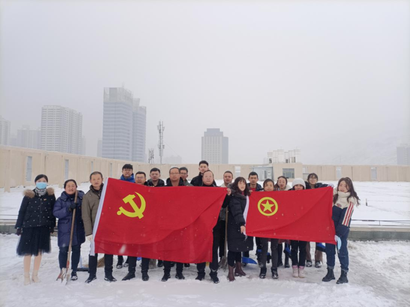 黨團(tuán)齊發(fā)力 除雪在一線&mdash;&mdash;現(xiàn)代物流公司黨支部開展除雪保安全活動