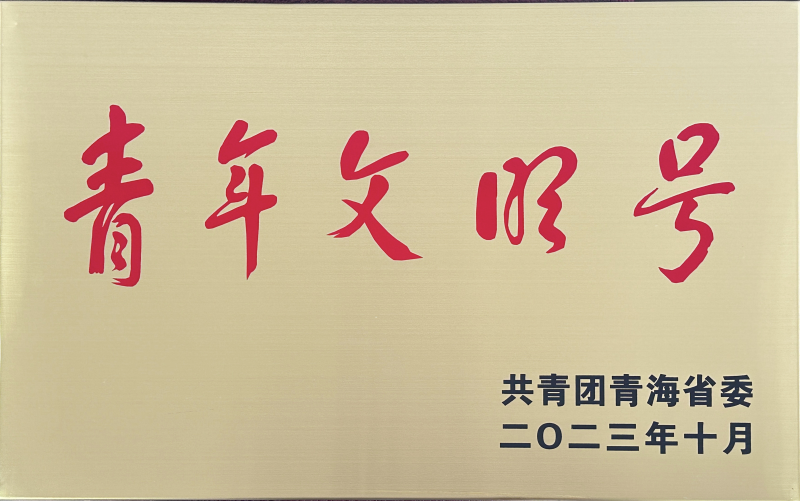 青海省臨空經(jīng)濟(jì)區(qū)開發(fā)投資有限公司榮獲 &ldquo;第21屆青海青年文明號&rdquo;