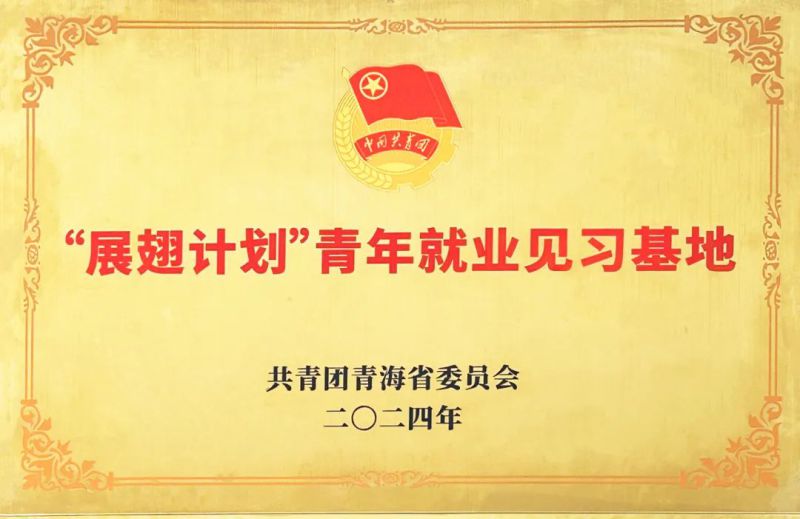 物產(chǎn)工投公司被團(tuán)省委授予&ldquo;展翅計劃&rdquo;首批青年就業(yè)見習(xí)基地